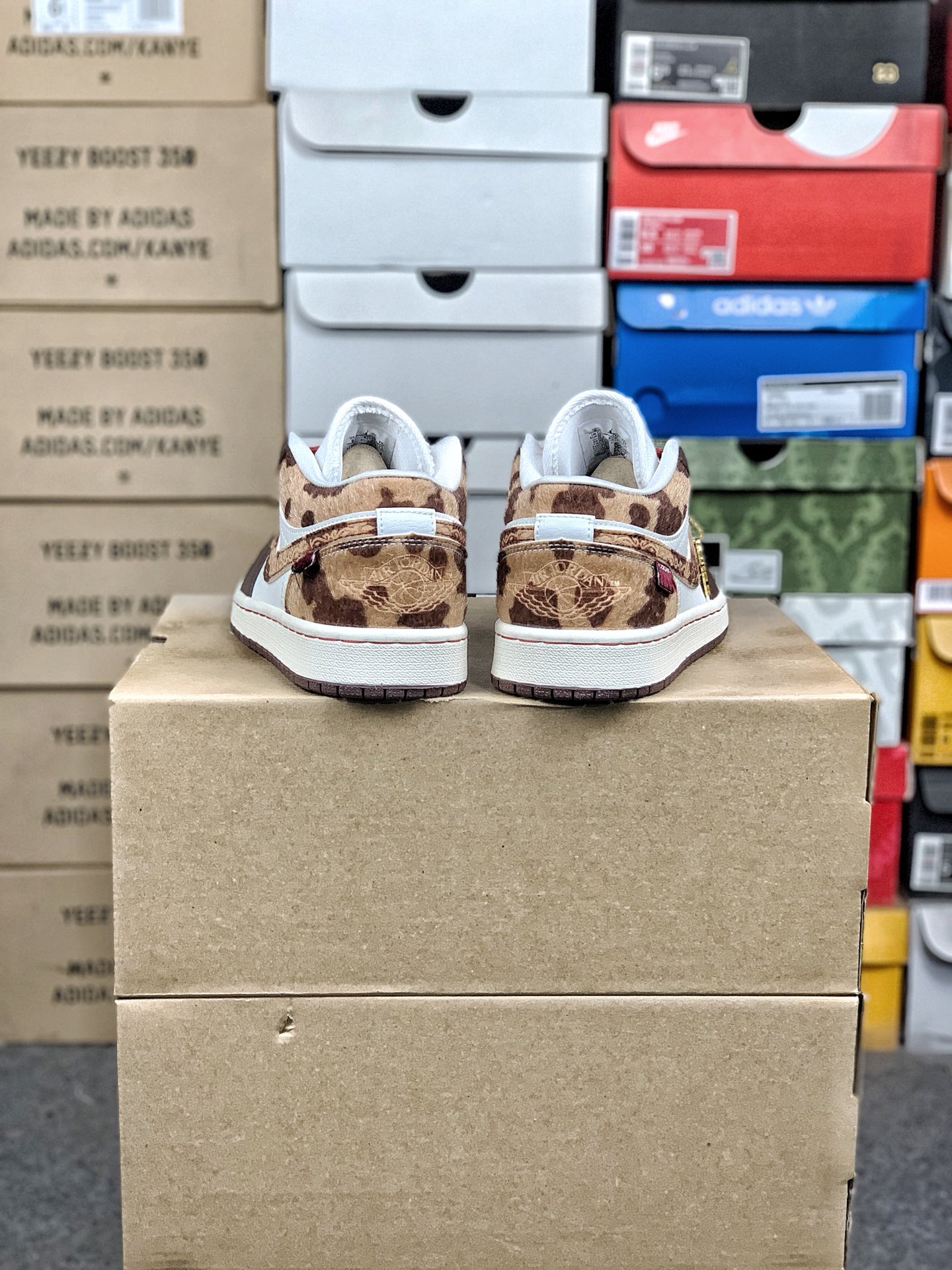 Nike Jordan shoe